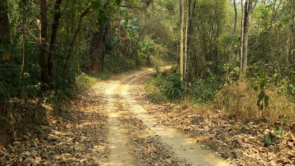 2019-03-23 11.38.20.jpg