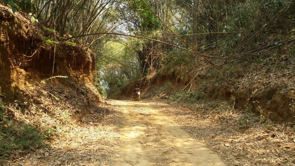 2019-03-23 11.42.11.jpg