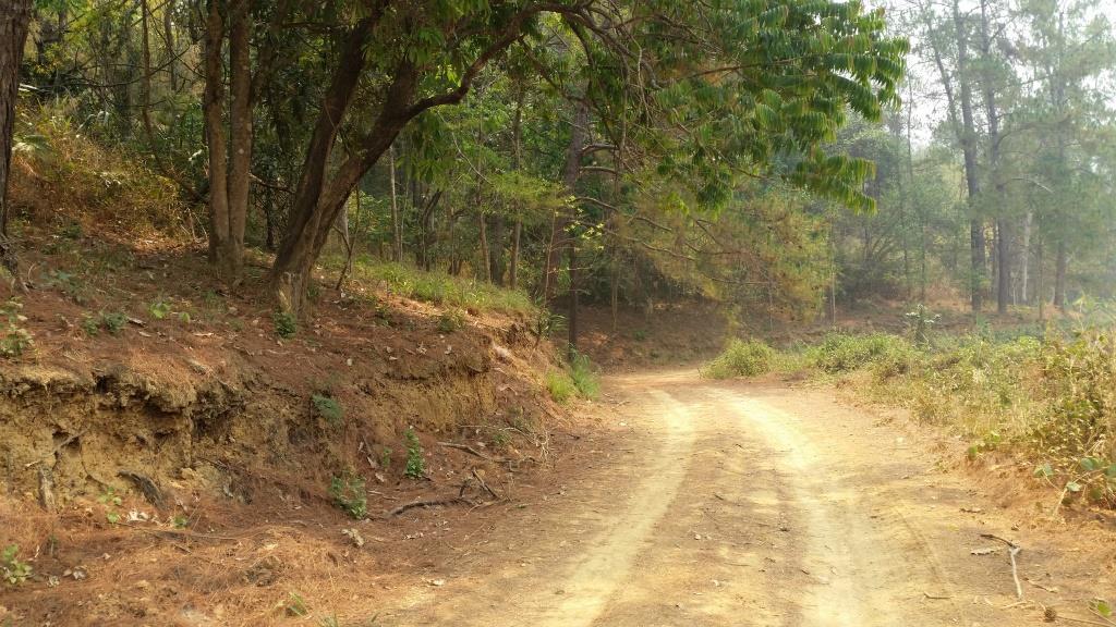 2019-03-23 11.48.17.jpg