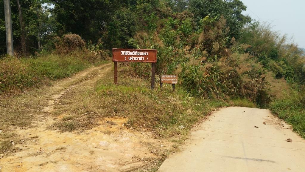 2019-03-23 12.12.34.jpg