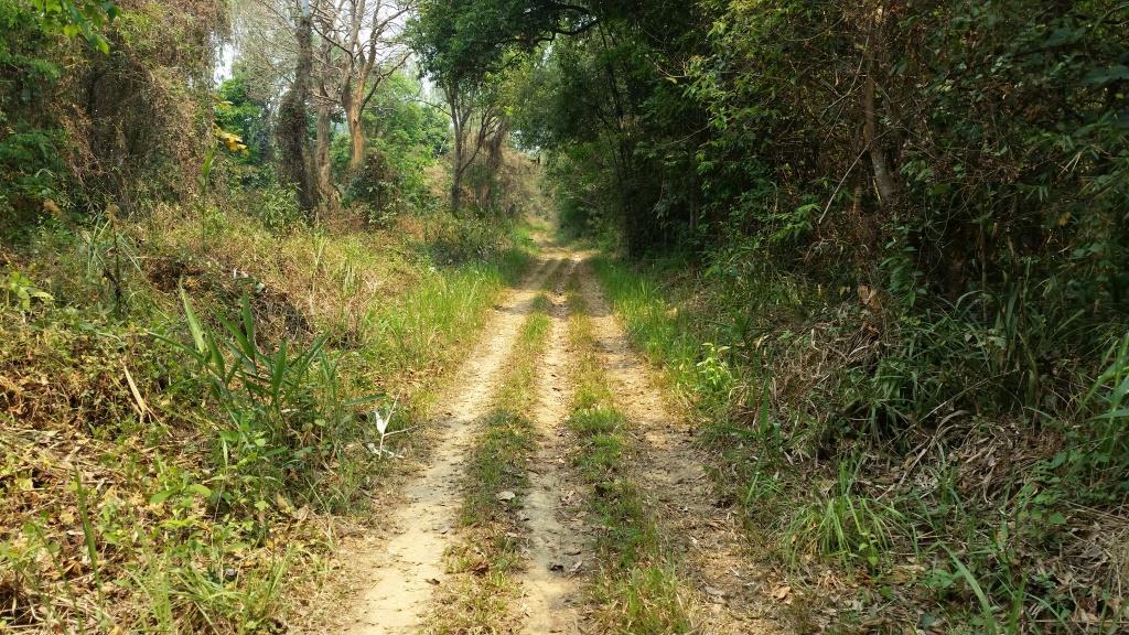 2019-03-23 12.13.18.jpg