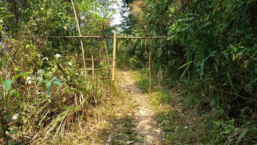 2019-03-23 12.20.37.jpg