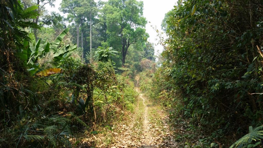 2019-03-23 12.21.38.jpg