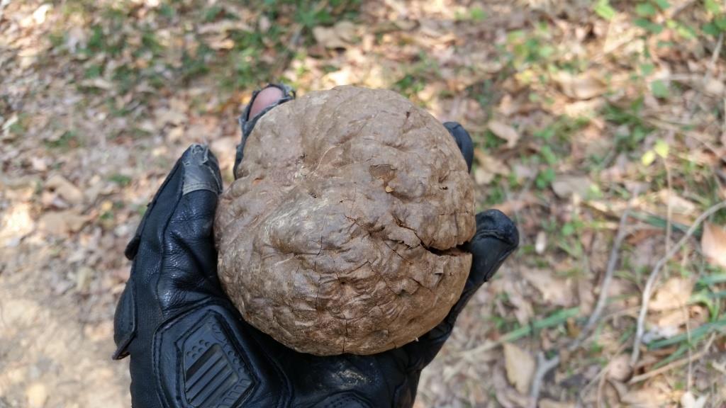 2019-03-23 12.27.20.jpg