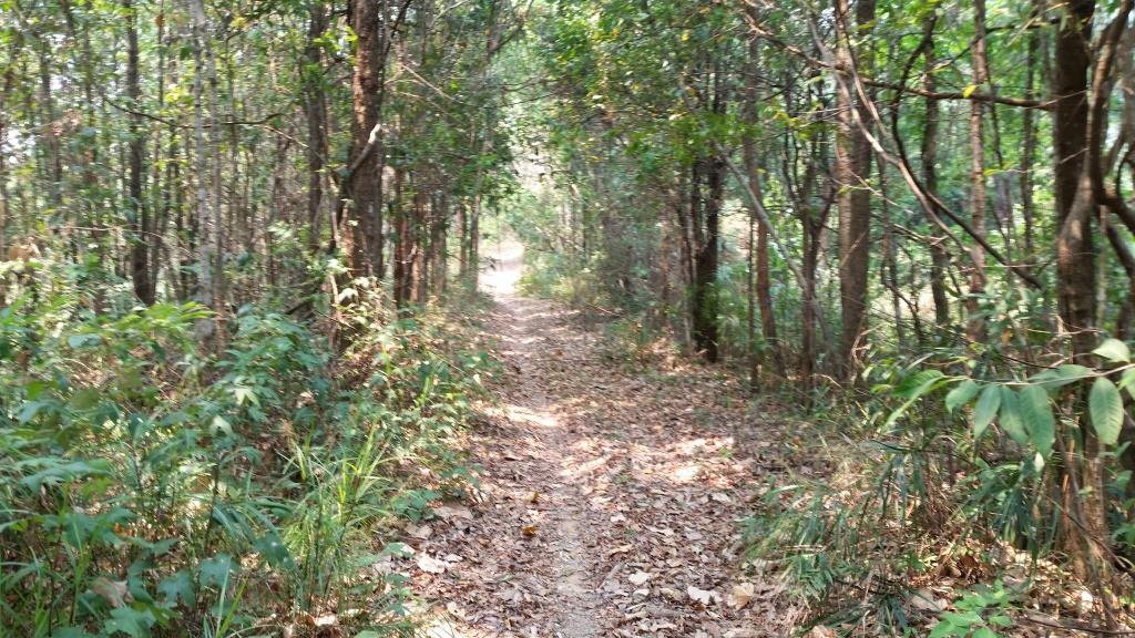 2019-03-23 12.28.28.jpg