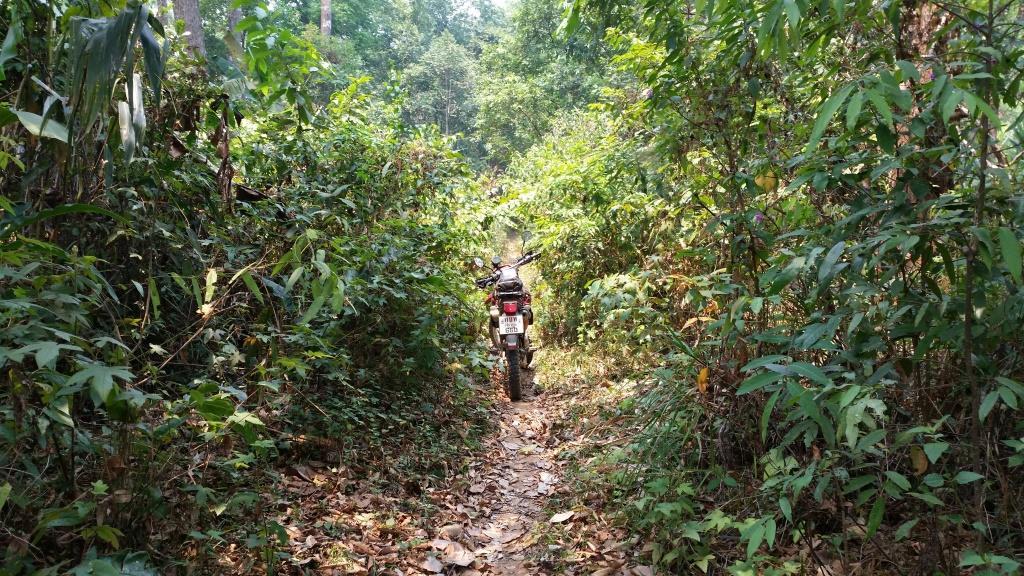 2019-03-23 12.31.35.jpg