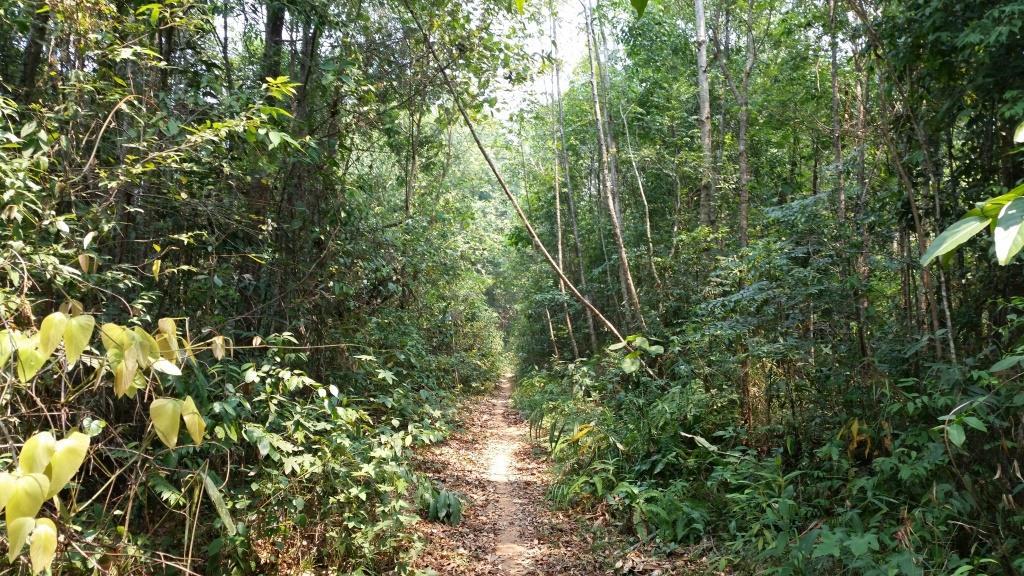 2019-03-23 12.34.11.jpg