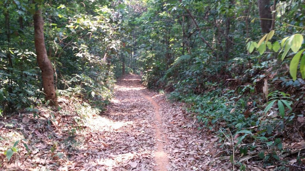 2019-03-23 12.40.09.jpg