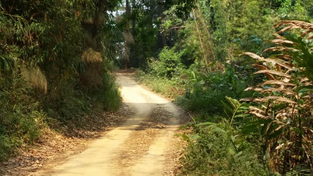 2019-03-23 12.54.00.jpg