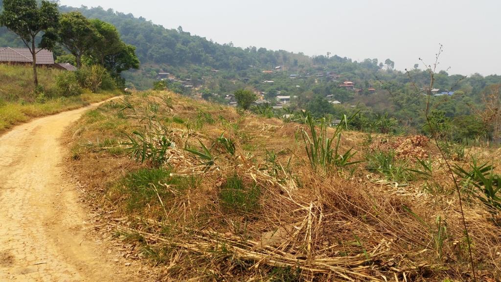 2019-03-23 13.20.16.jpg