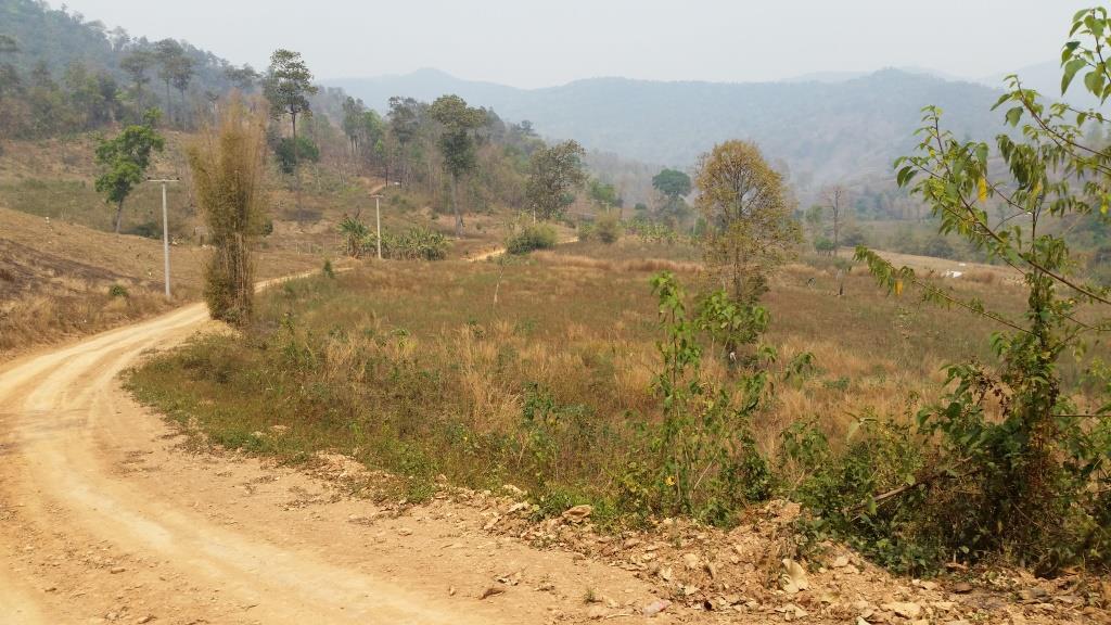 2019-03-23 13.32.06.jpg