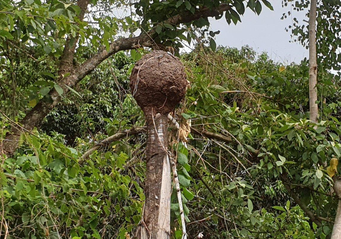 2019-05-24 15.01.50.jpg