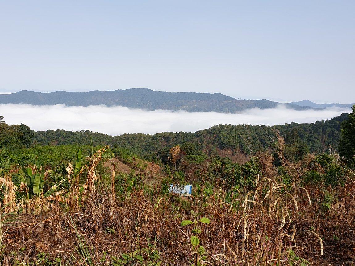 2019-05-25 08.16.48.jpg