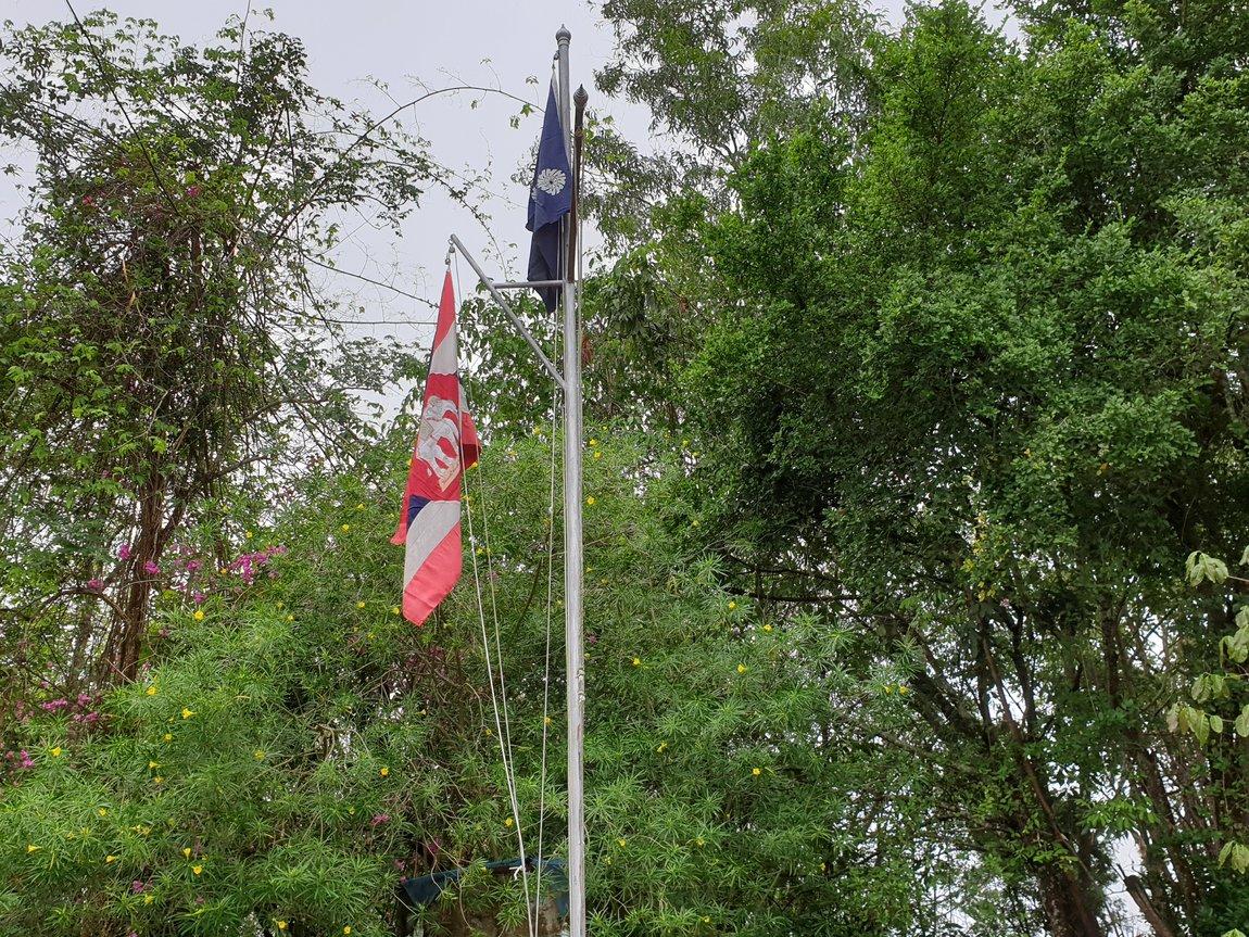 2019-05-25 08.48.43.jpg