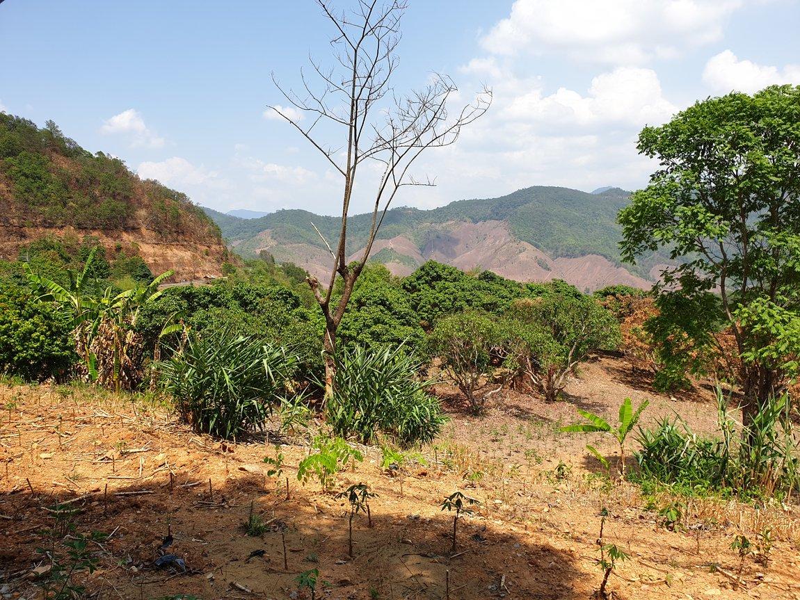 2019-05-25 13.37.30.jpg