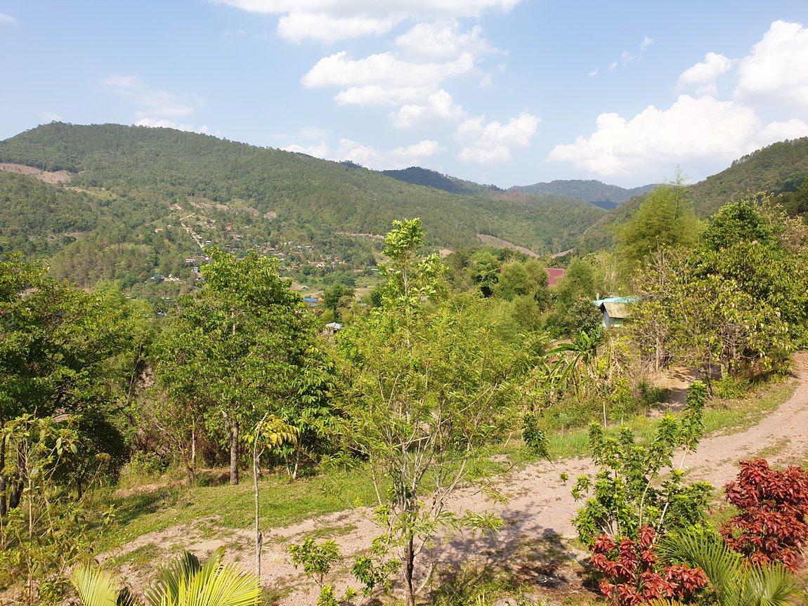 2019-05-25 15.16.39.jpg