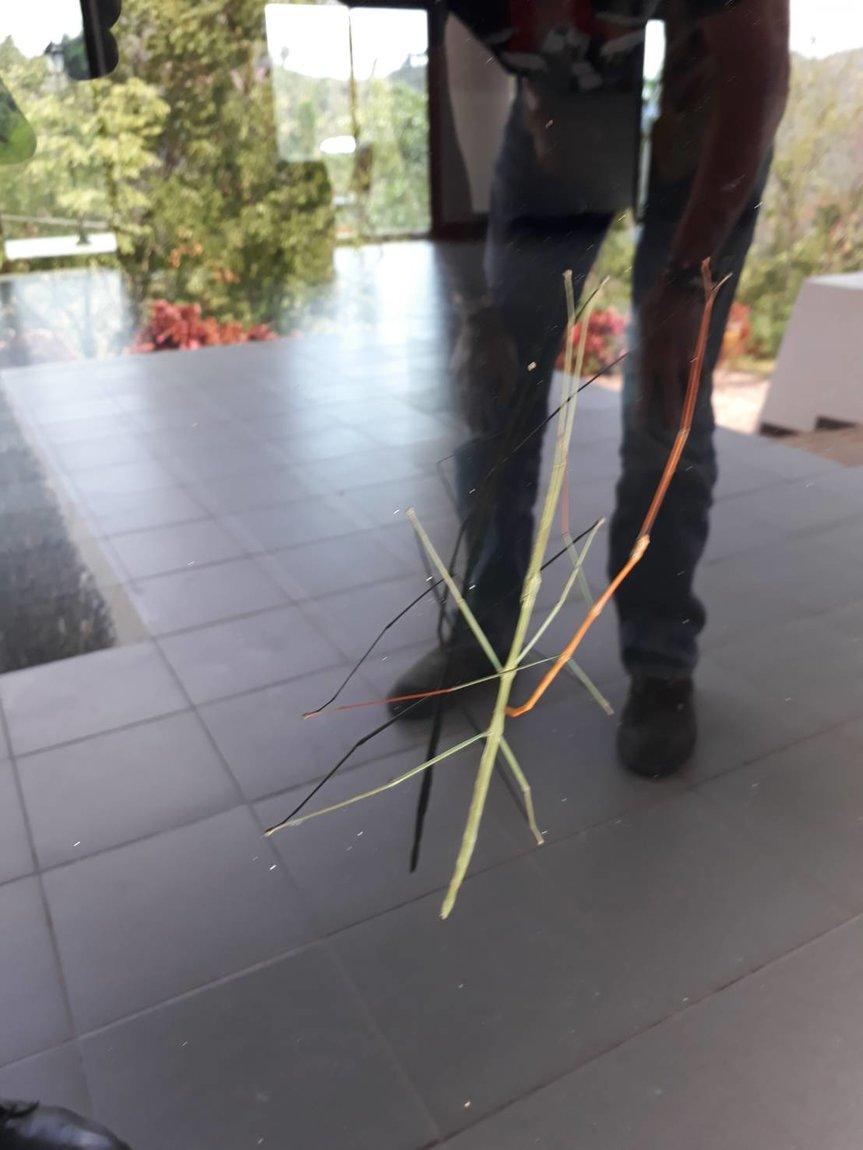 2019-05-25 15.16.42.jpg