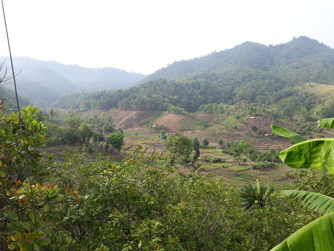 2019-05-26 07.46.08.jpg