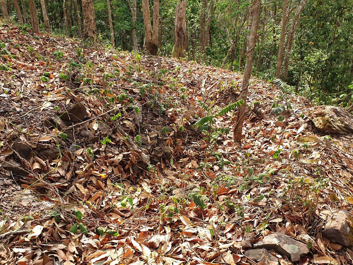 2019-05-26 07.54.43.jpg