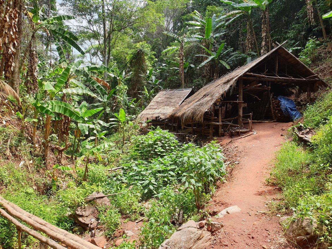 2019-05-26 10.42.47.jpg