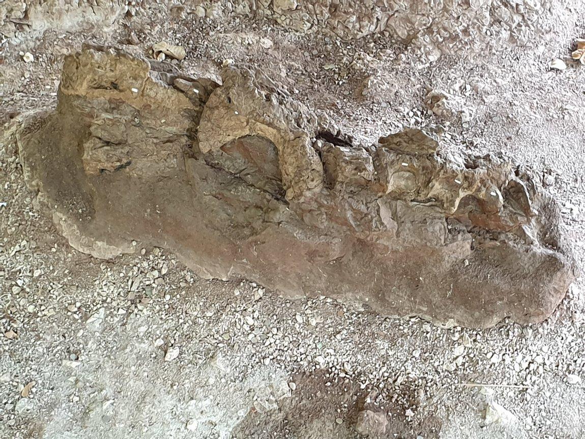 2019-05-27 09.34.01.jpg