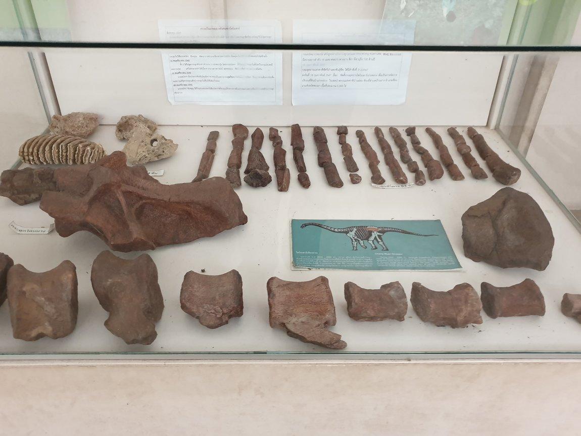 2019-05-27 09.35.57.jpg