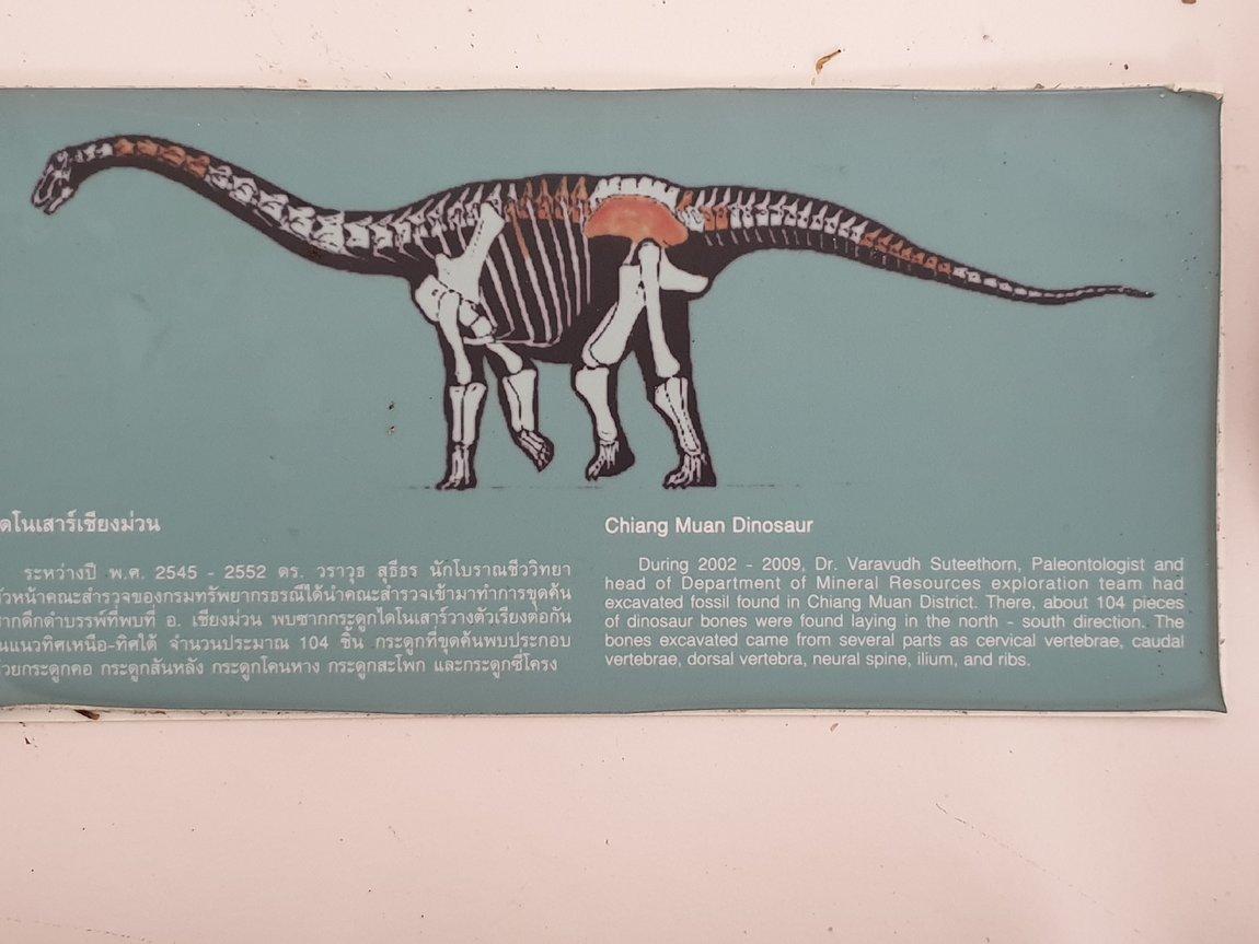 2019-05-27 09.36.15.jpg