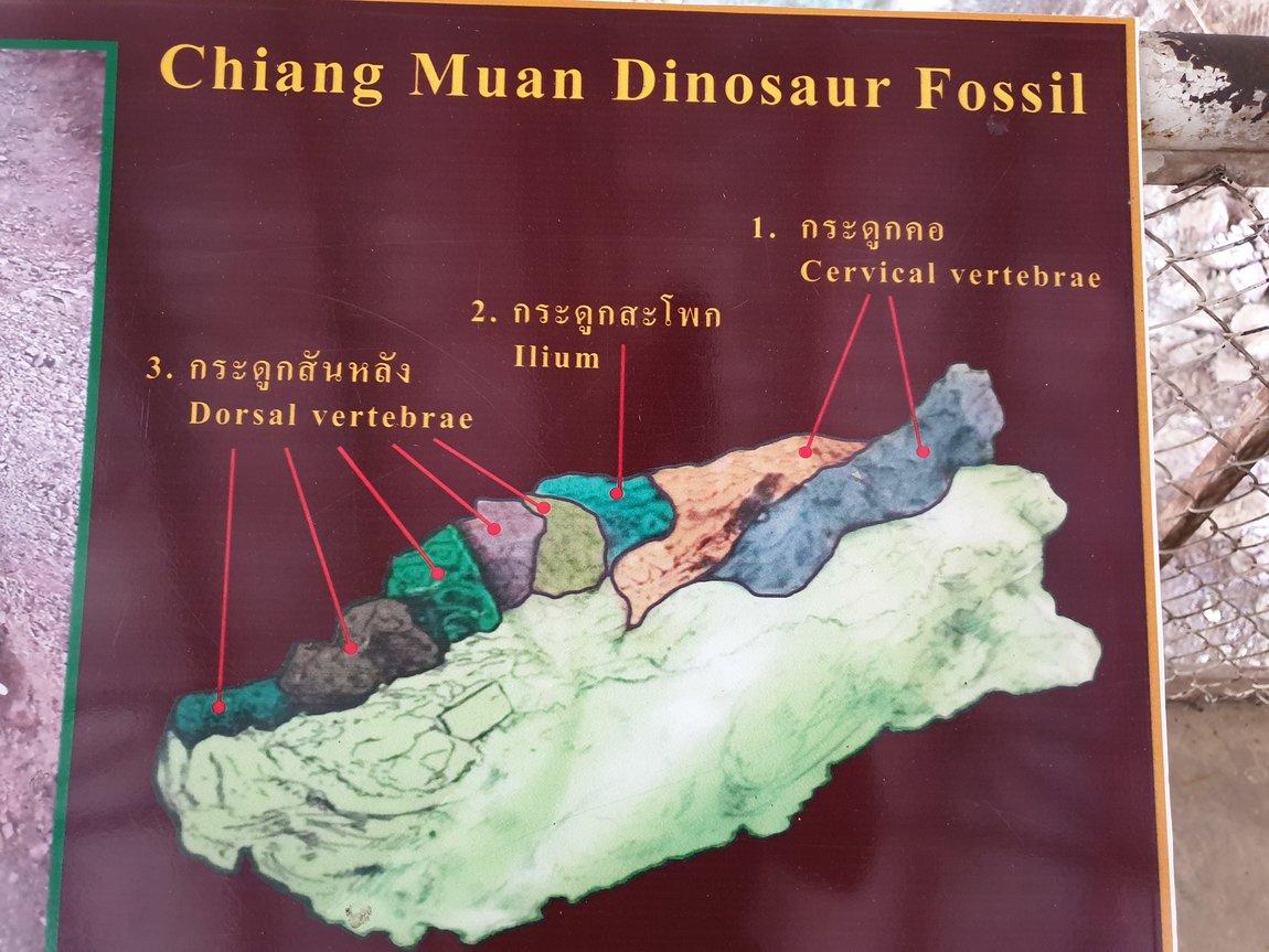 2019-05-27 09.41.44.jpg