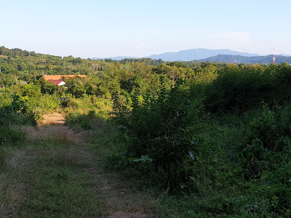 2019-10-24 16.29.58.jpg