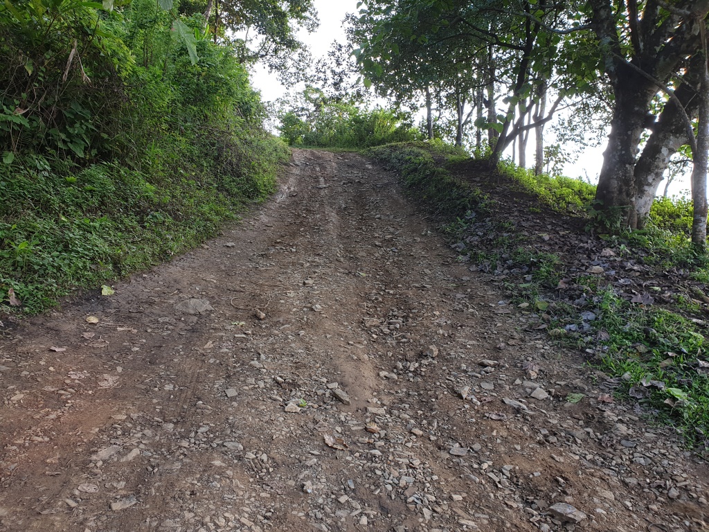 2019-10-26 15.33.09.jpg