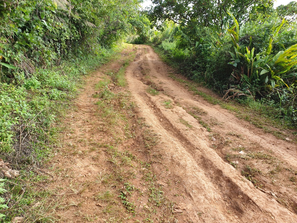 2019-10-26 15.33.10.jpg