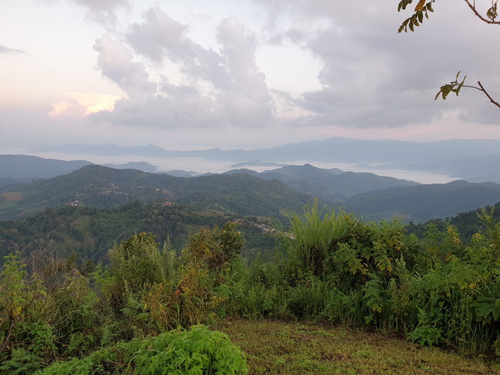 2019-10-27 06.22.27.jpg