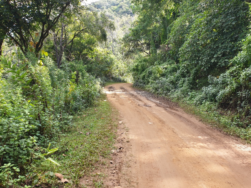 2019-10-27 10.04.06.jpg