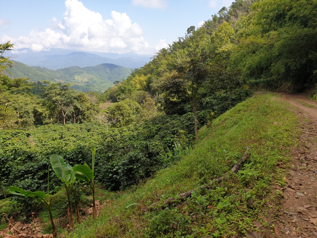 2019-10-27 10.13.02.jpg