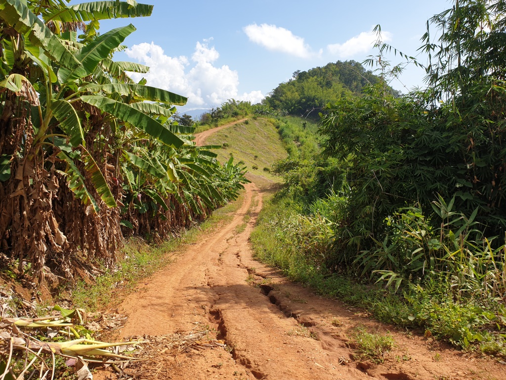 2019-10-27 10.28.50.jpg