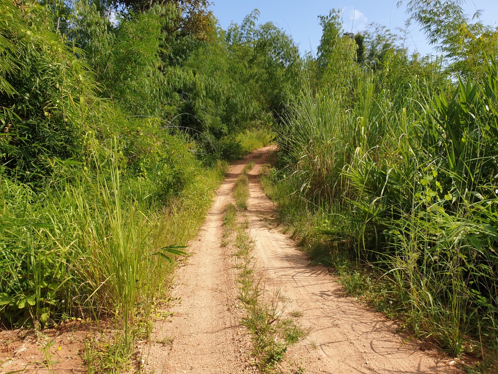 2019-10-27 10.32.25.jpg