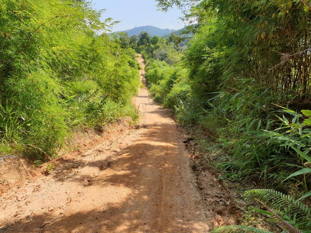 2019-10-27 10.40.59.jpg