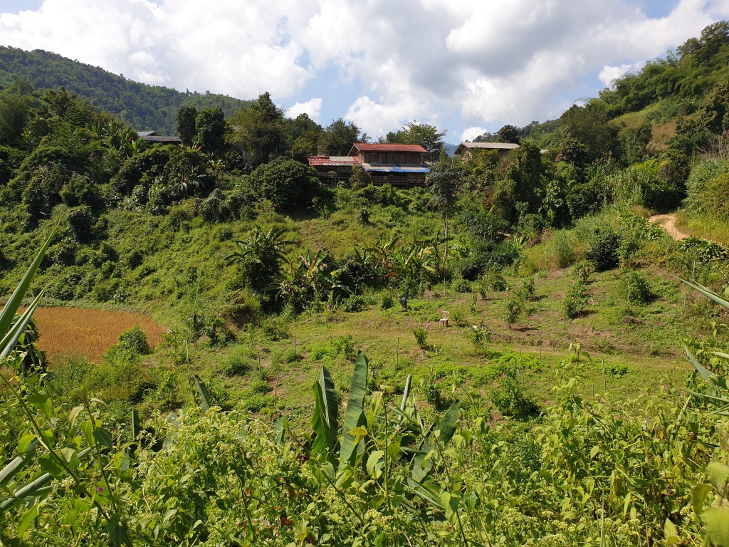 2019-10-27 10.49.30.jpg