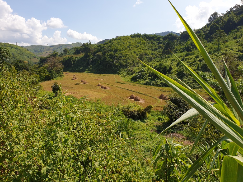 2019-10-27 10.49.51.jpg