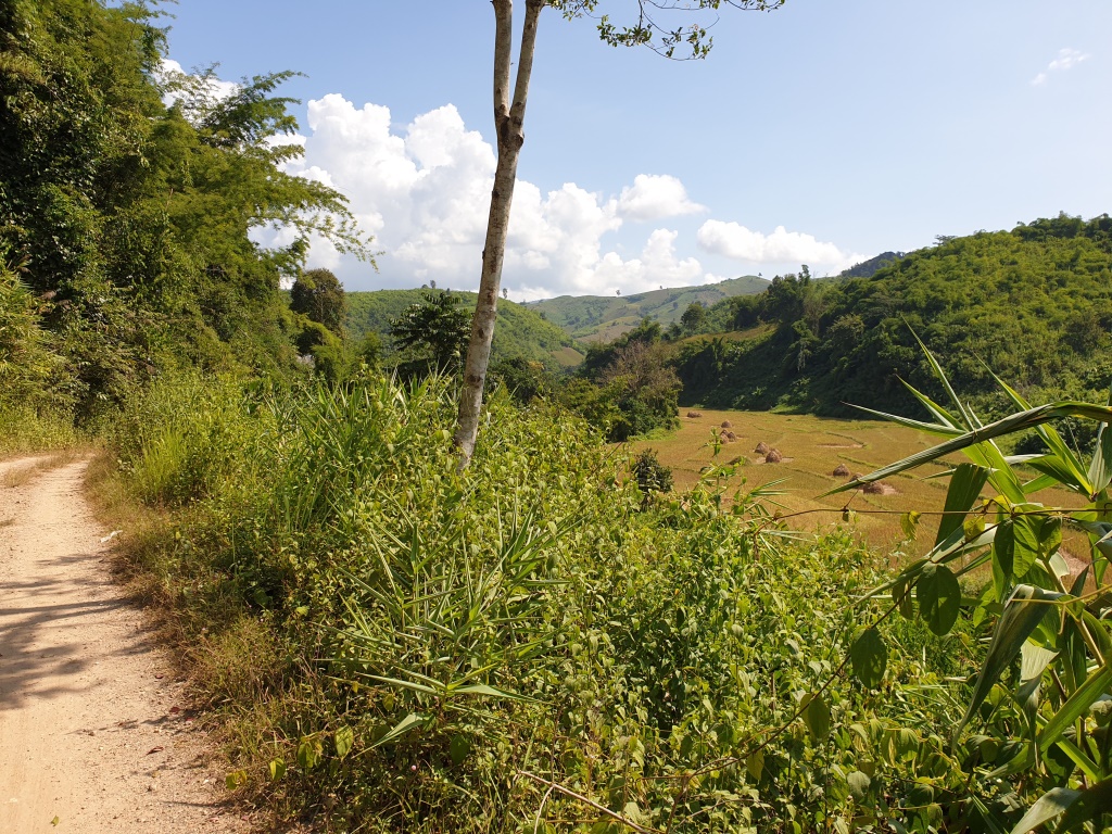 2019-10-27 10.50.04.jpg