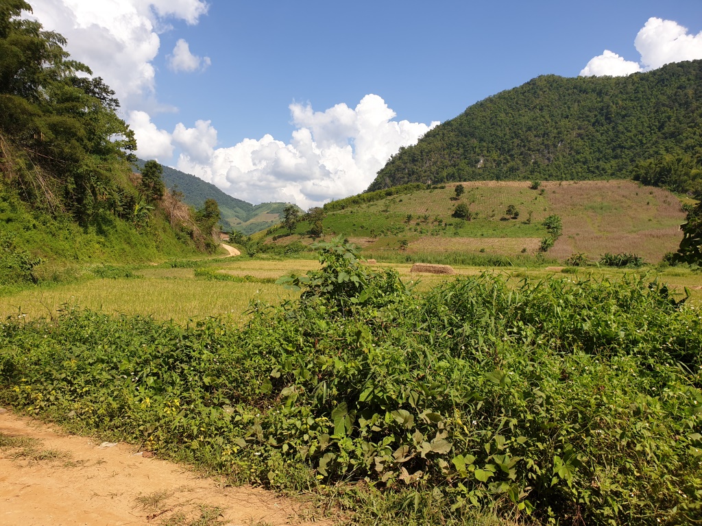 2019-10-27 10.56.08.jpg