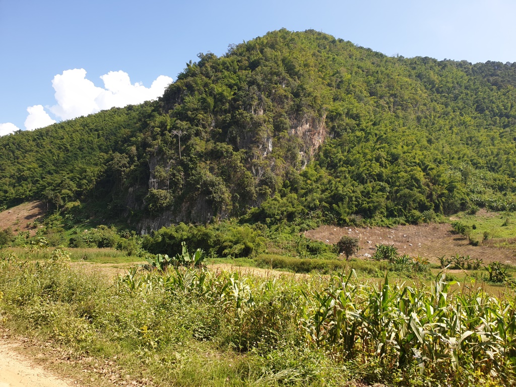 2019-10-27 10.58.29.jpg