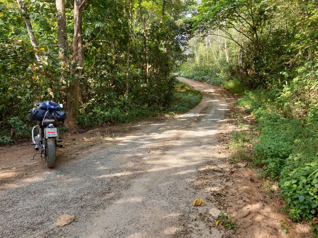 2019-11-21 15.17.15-1.jpg