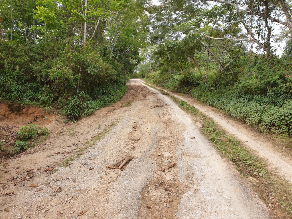 2019-12-06 09.51.34.jpg