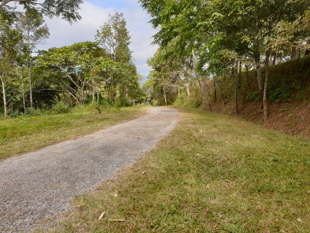 2019-12-06 10.12.54.jpg