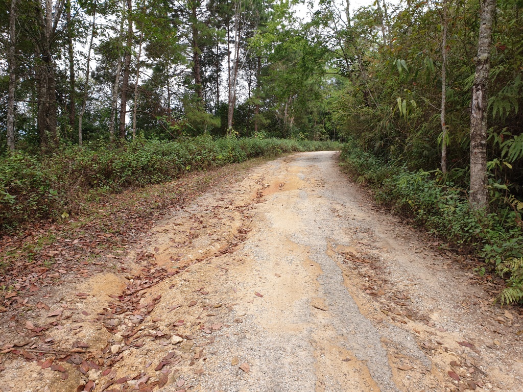 2019-12-06 10.30.20.jpg