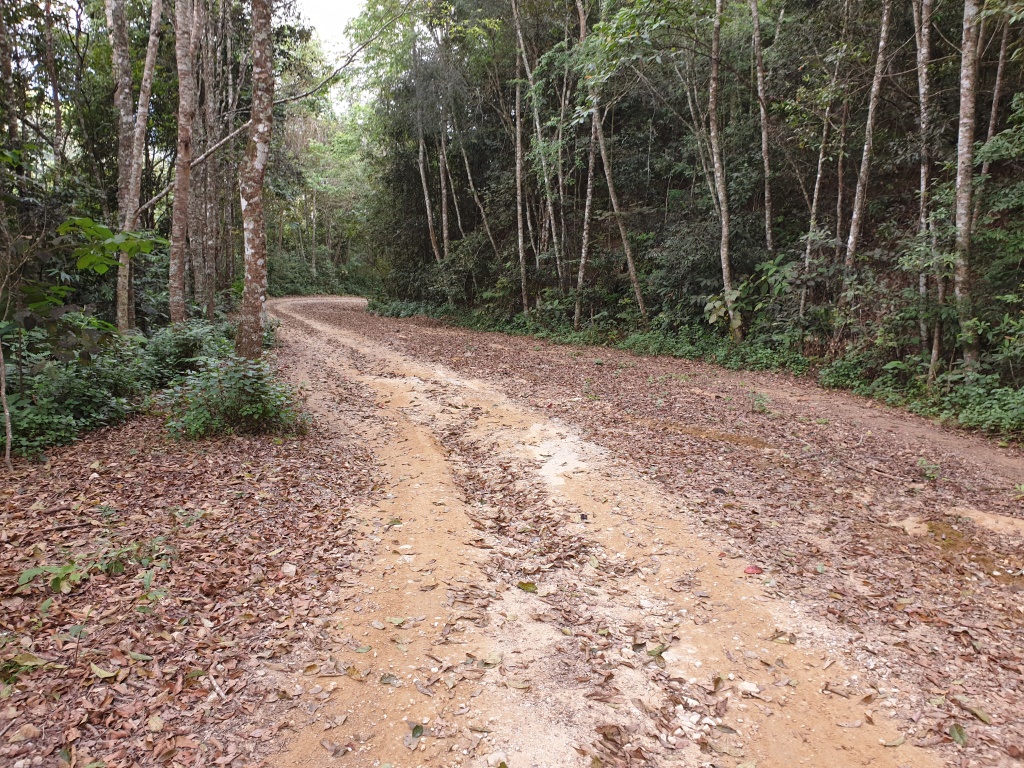 2019-12-06 10.47.32.jpg