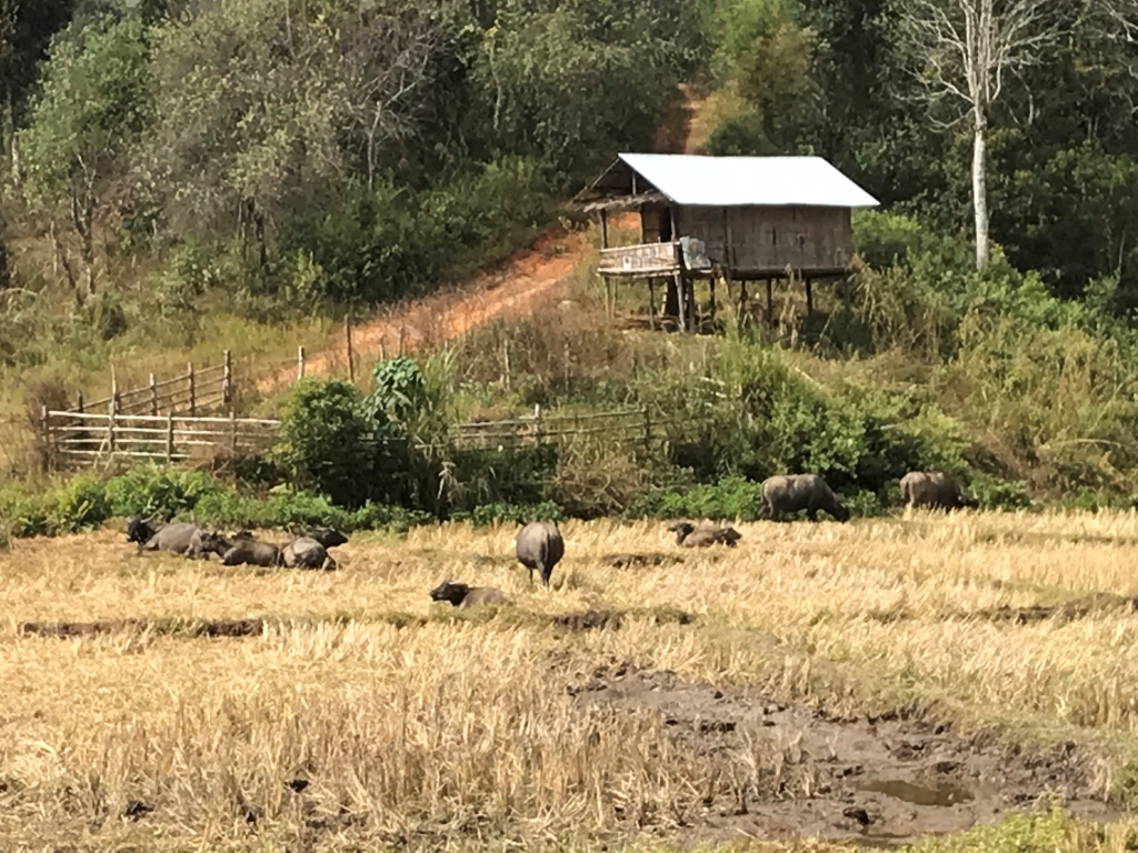 2019-12-06 11.15.45.jpg