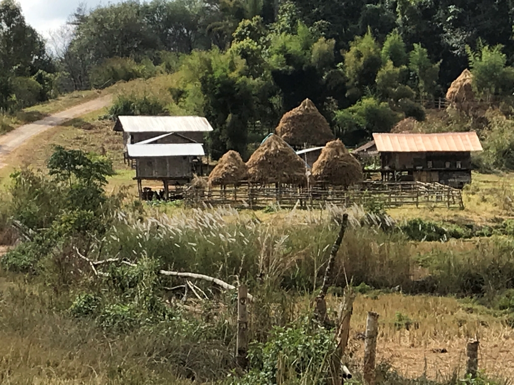 2019-12-06 11.15.57.jpg