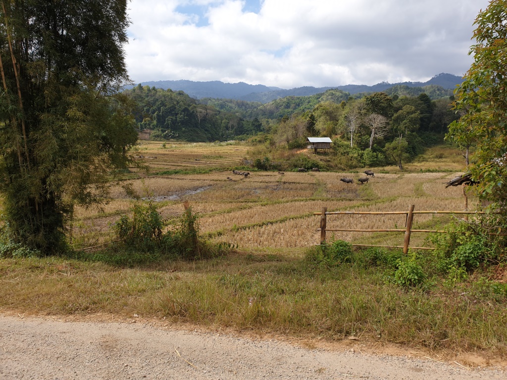 2019-12-06 11.16.05.jpg